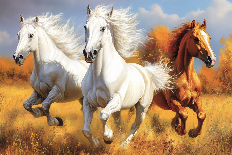 Groep paarden in een weiland