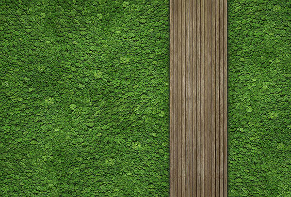 Houten plank op een groene muur Houten plank op een groene muur