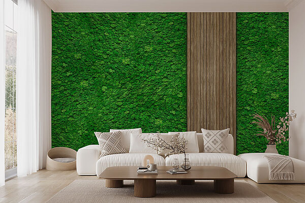 Houten plank op een groene muur Houten plank op een groene muur