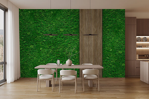 Houten plank op een groene muur Houten plank op een groene muur