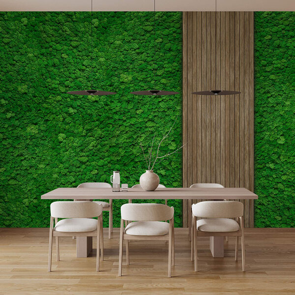 Houten plank op een groene muur Houten plank op een groene muur