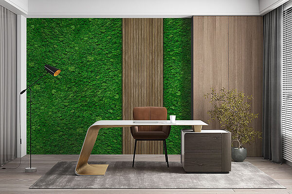 Houten plank op een groene muur Houten plank op een groene muur