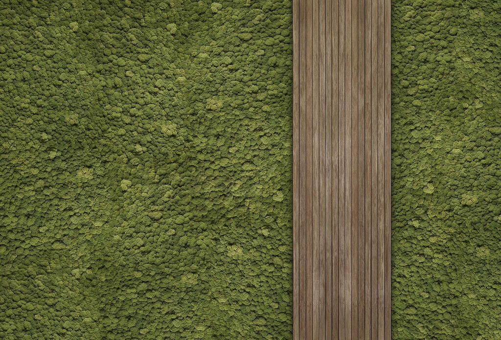 Houten plank op een groen tapijt Houten plank op een groen tapijt
