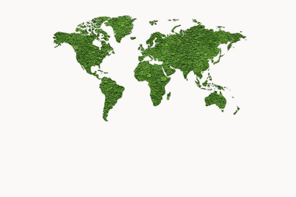 Kaart van de wereld gemaakt van groene planten Kaart van de wereld gemaakt van groene planten