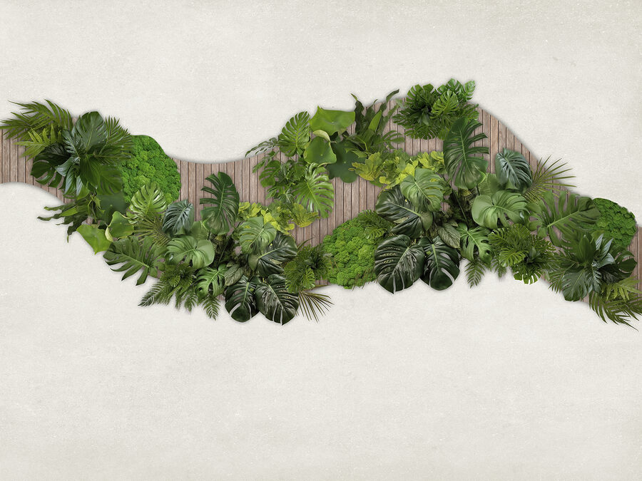 Groep groene bladeren op een houten ondergrond