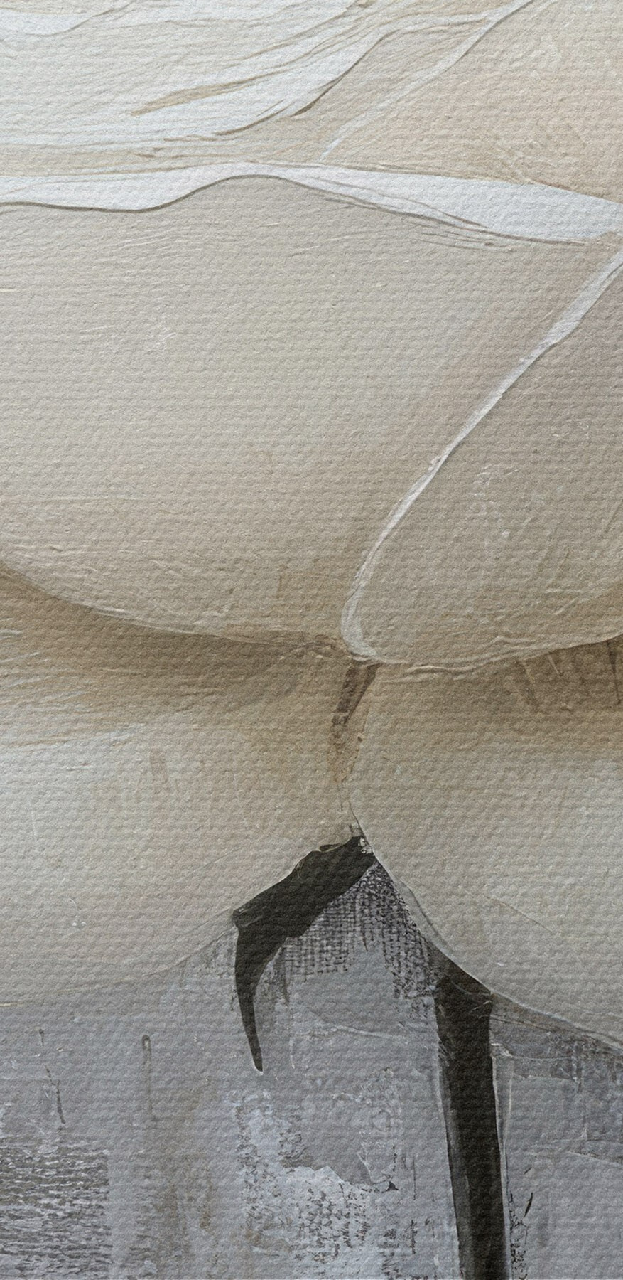 Schilderij van een witte roos Schilderij van een witte roos