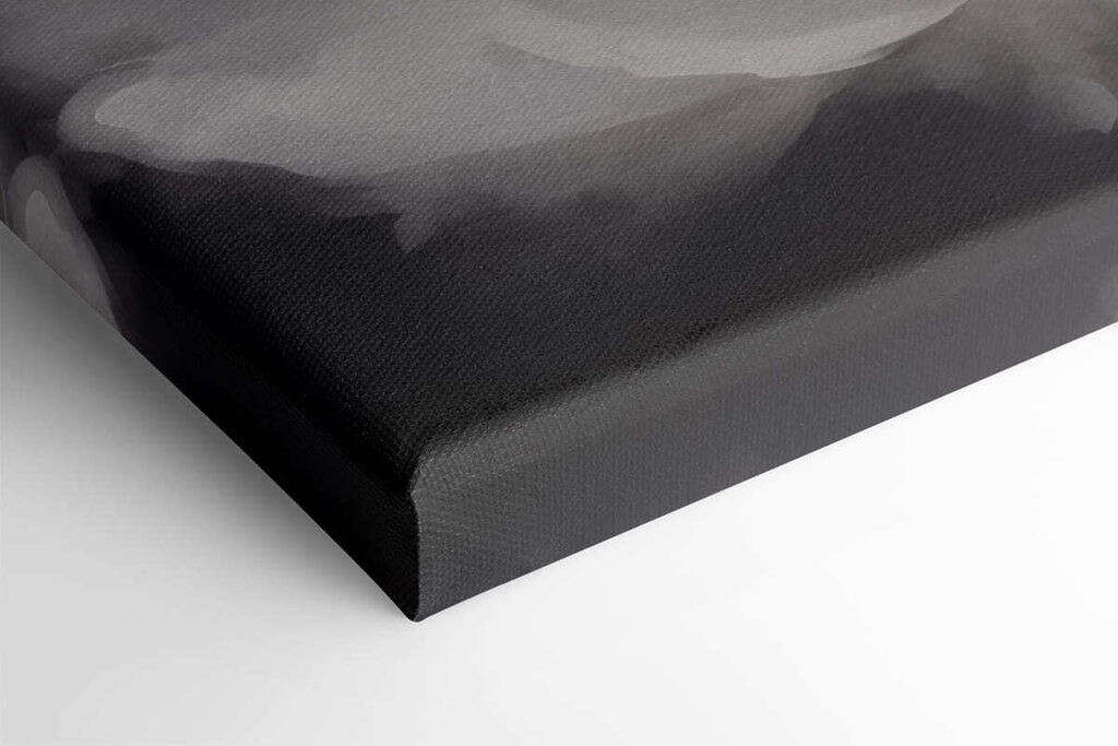 White flower with yellow center White flower with yellow center