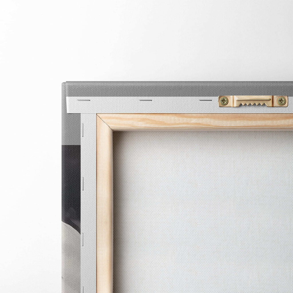 White flower with yellow center White flower with yellow center