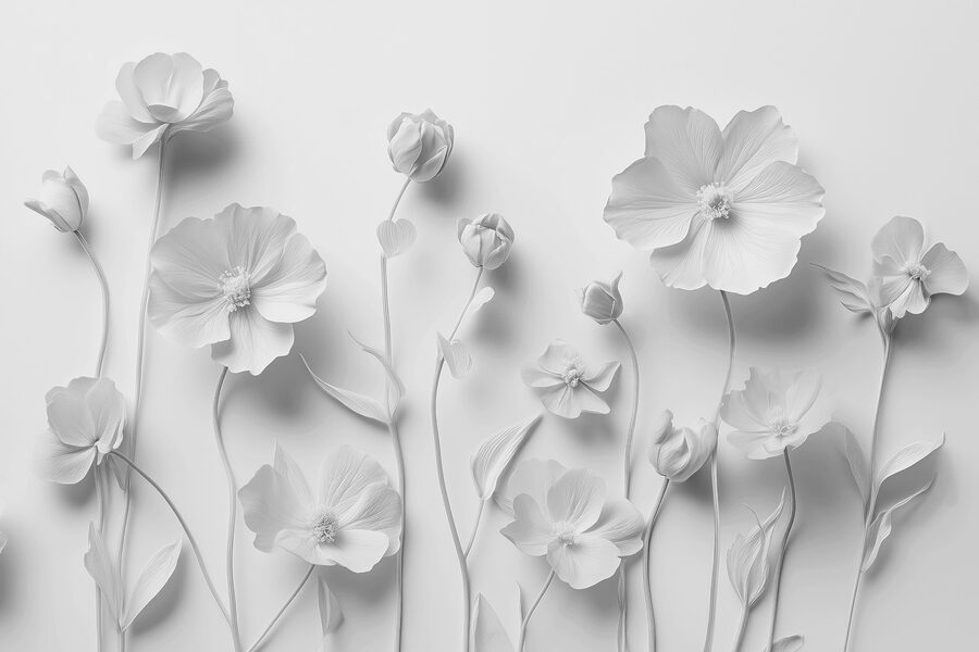 Groep witte bloemen Groep witte bloemen