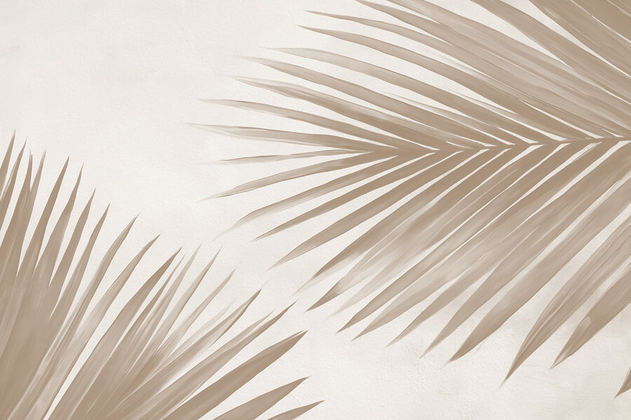 Elegante palmbladeren op een zachte achtergrond
