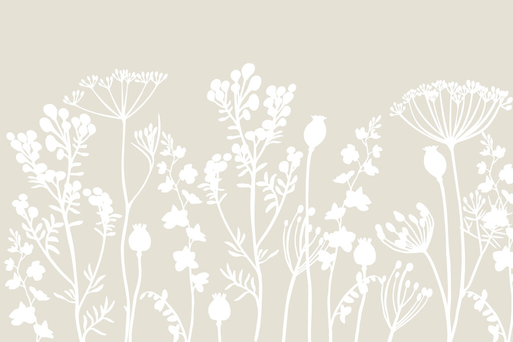 Witte silhouetten van bloemen Witte silhouetten van bloemen