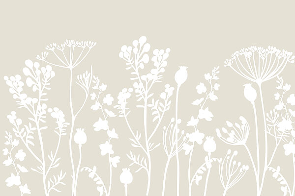 Witte silhouetten van bloemen Witte silhouetten van bloemen