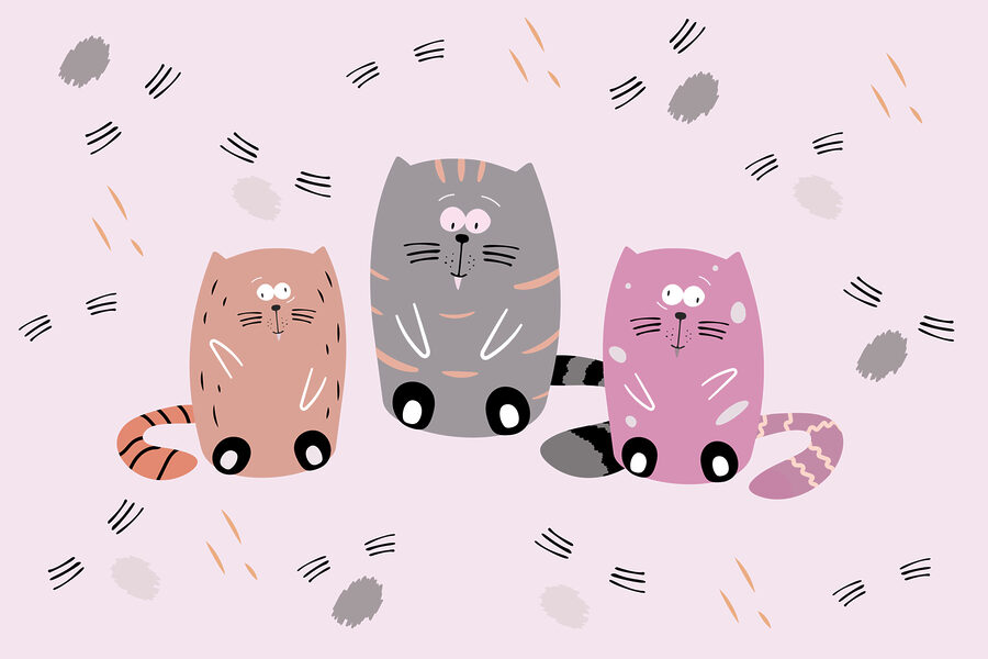 Groep katten zittend op een roze oppervlak