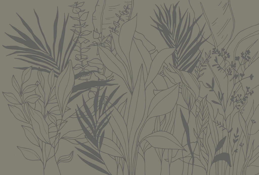 Tekening van planten en bladeren Tekening van planten en bladeren