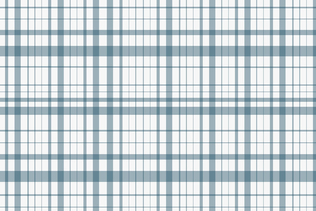 Blauw en wit geruit w02852v1p 1024x685 - Blauw en wit geruit