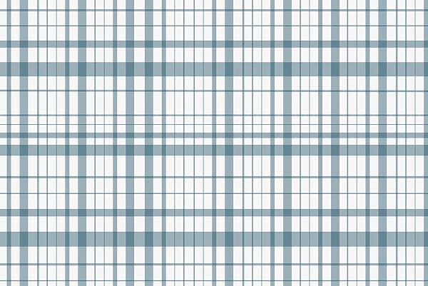 Blauw en wit geruit w02852v1p 600x401 - Blauw en wit geruit