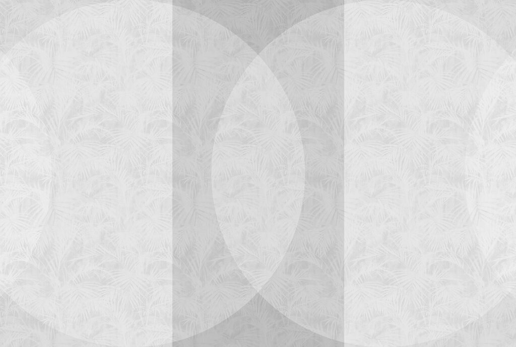 Witte en grijze achtergrond Witte en grijze achtergrond