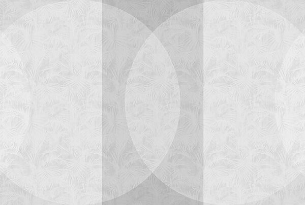 Witte en grijze achtergrond Witte en grijze achtergrond