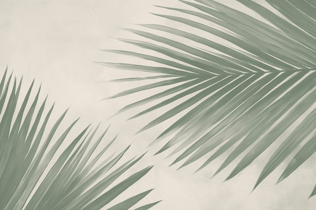 Verse groene palmbladeren, een vleugje natuur’s Verse groene palmbladeren, een vleugje natuur’s
