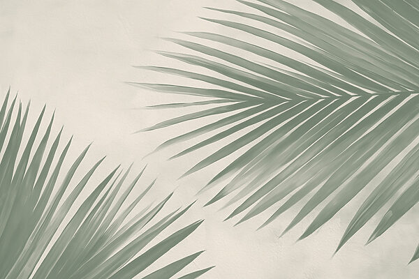 Verse groene palmbladeren, een vleugje natuur’s Verse groene palmbladeren, een vleugje natuur’s