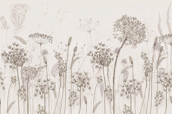 Tekenen van bloemen en planten Tekenen van bloemen en planten