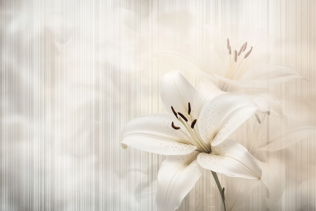 Elegante witte lelies in zachte tinten Elegante witte lelies in zachte tinten