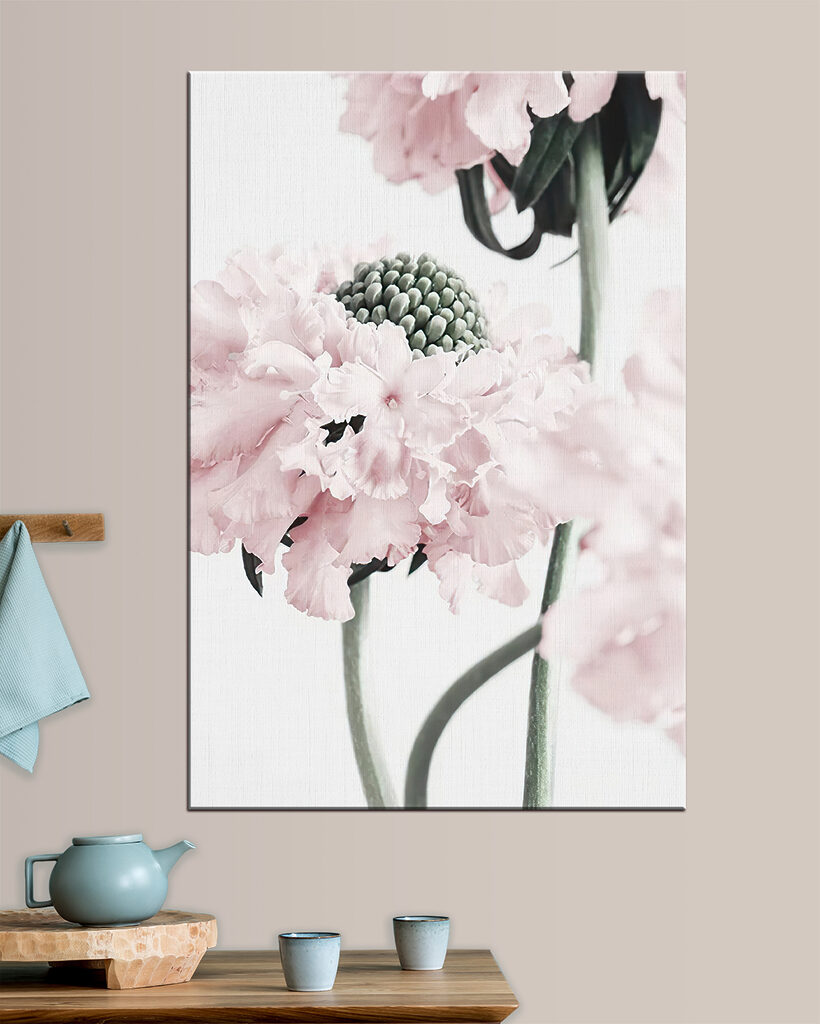 Delicate petals in soft hues Delicate petals in soft hues