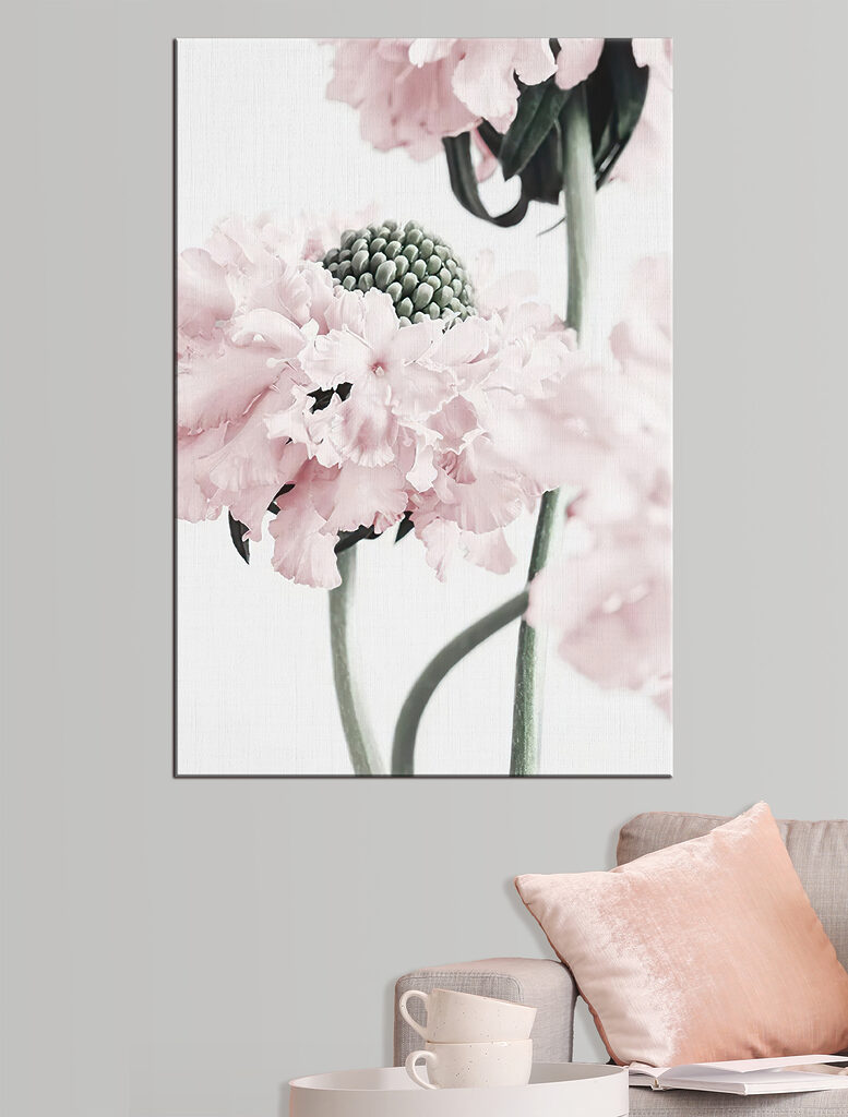 Delicate petals in soft hues Delicate petals in soft hues