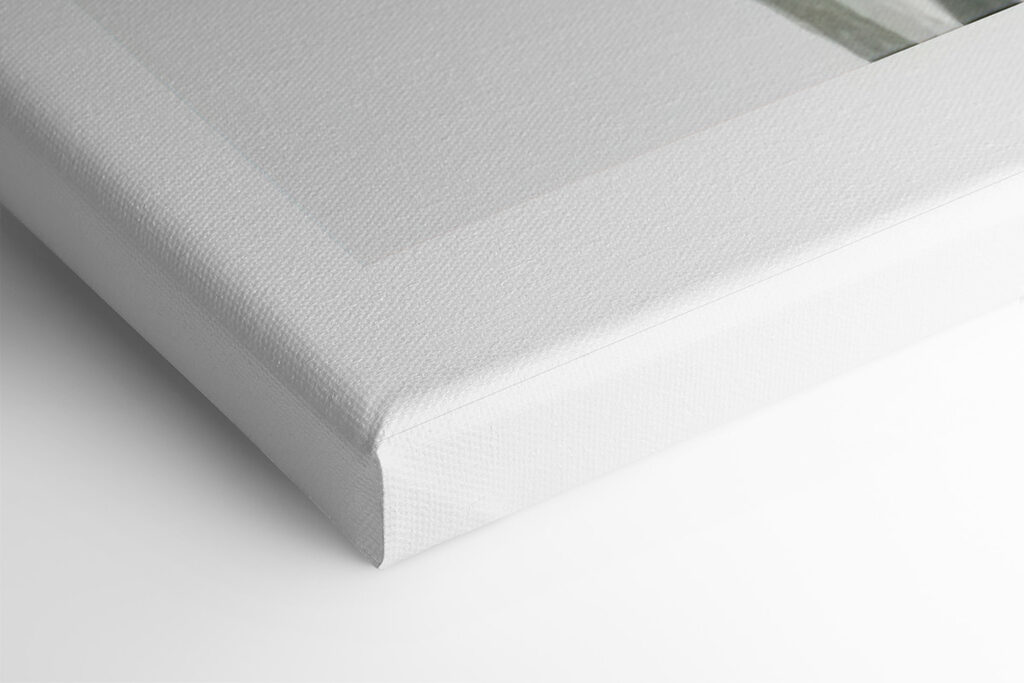 Delicate petals in soft hues Delicate petals in soft hues