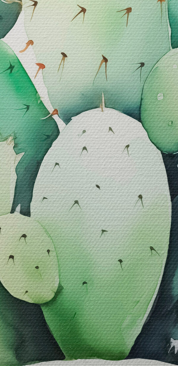 Aquarel van een cactus Aquarel van een cactus