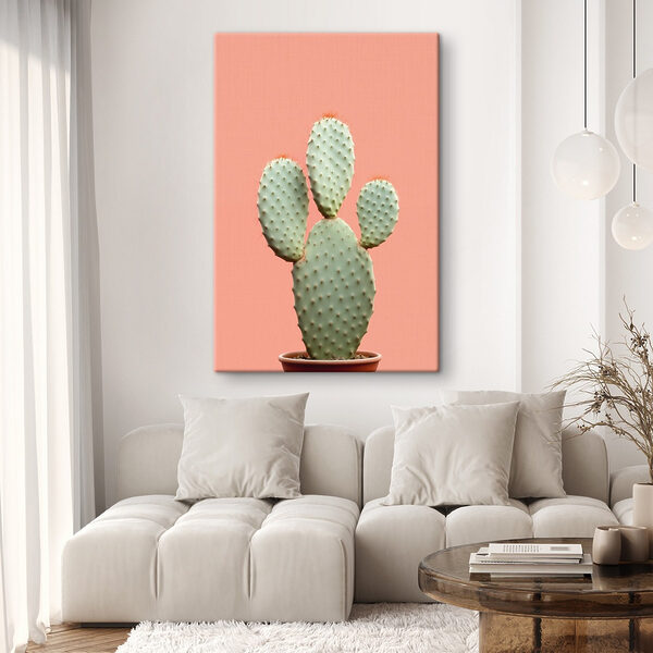 Cactus met rode stekels Cactus met rode stekels