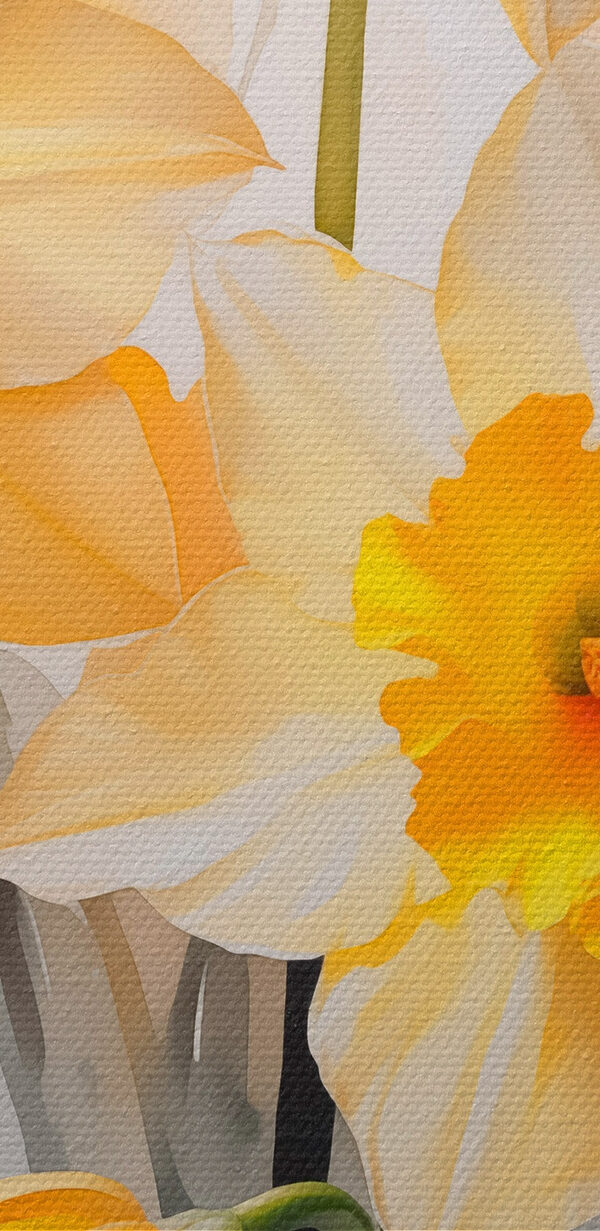 Groep gele en witte bloemen Groep gele en witte bloemen