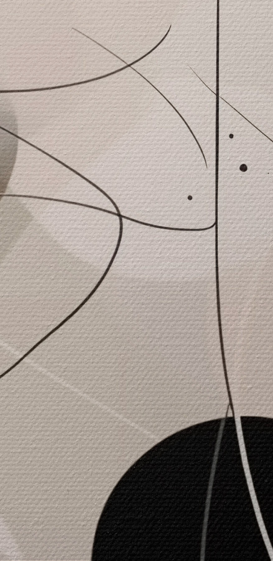 Zwart-witte cirkels en lijnen Zwart-witte cirkels en lijnen