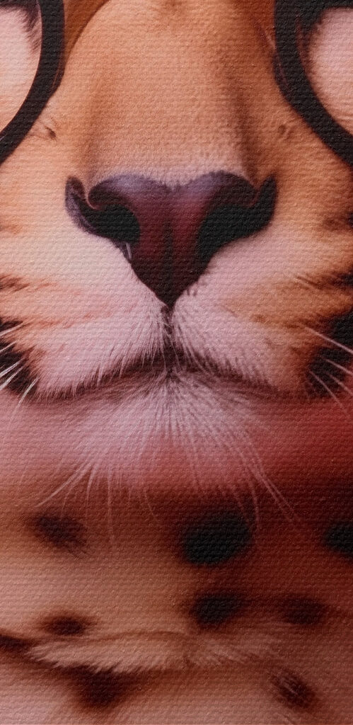 Leopard wearing glasses and a necklace of flowers