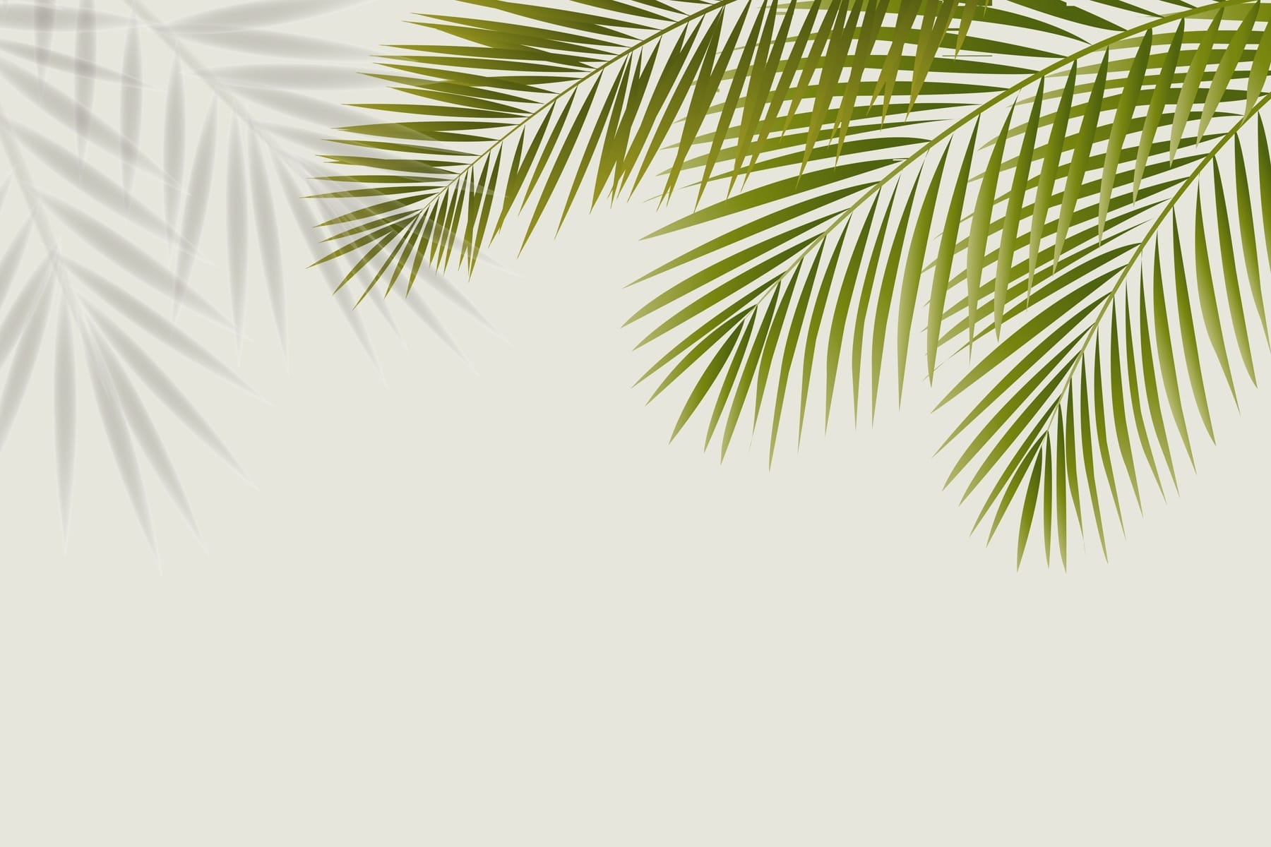 Green leaves on a white background