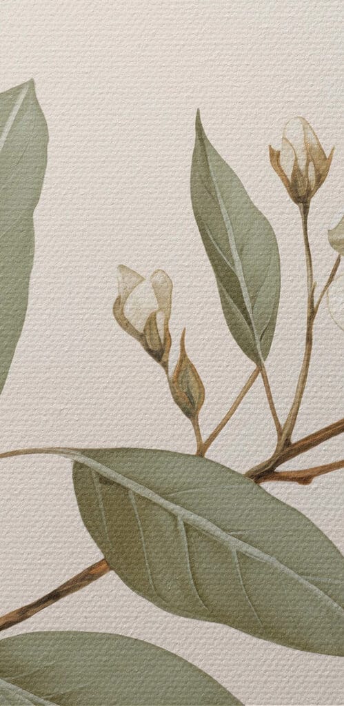 White flowers and leaves on a branch