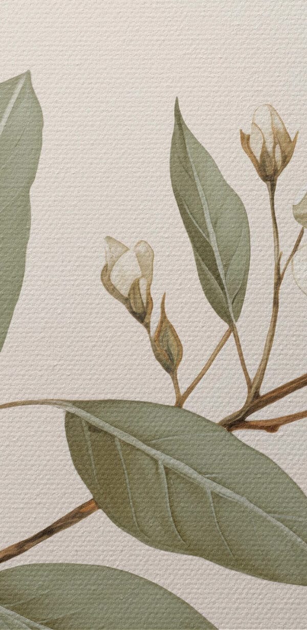 Witte bloemen en bladeren aan een tak Witte bloemen en bladeren aan een tak