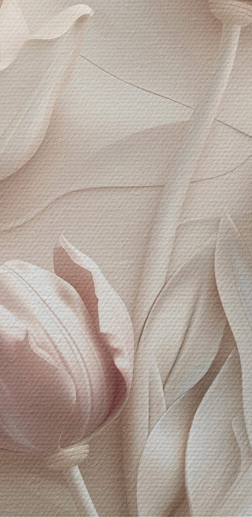 Group of white flowers Group of white flowers