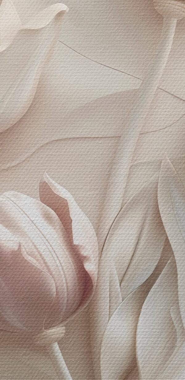 Groep witte bloemen Groep witte bloemen