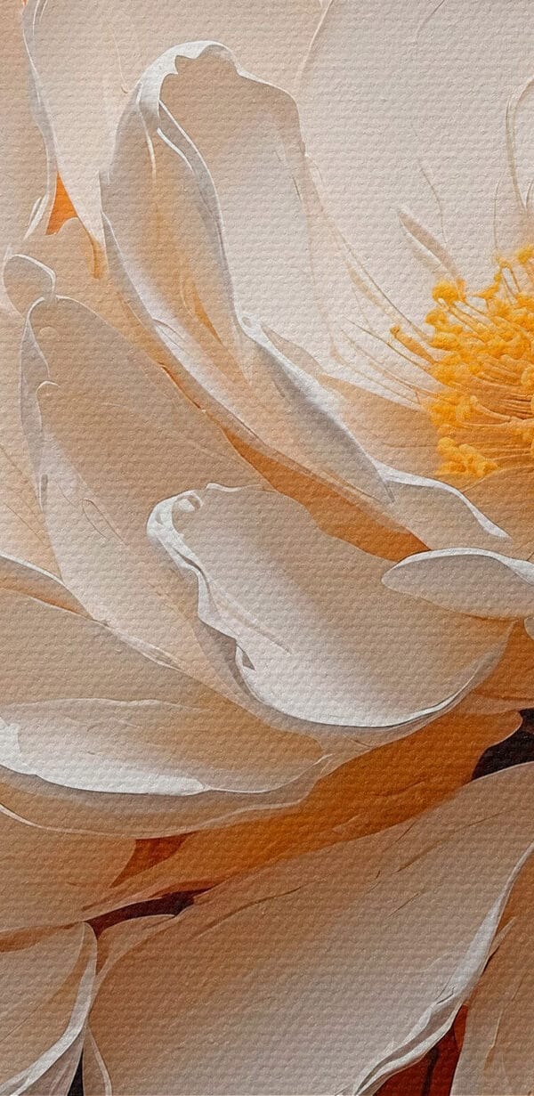 Witte bloem met geel hart Witte bloem met geel hart
