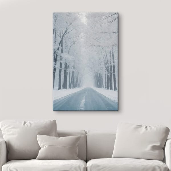 Weg met besneeuwde bomen Weg met besneeuwde bomen