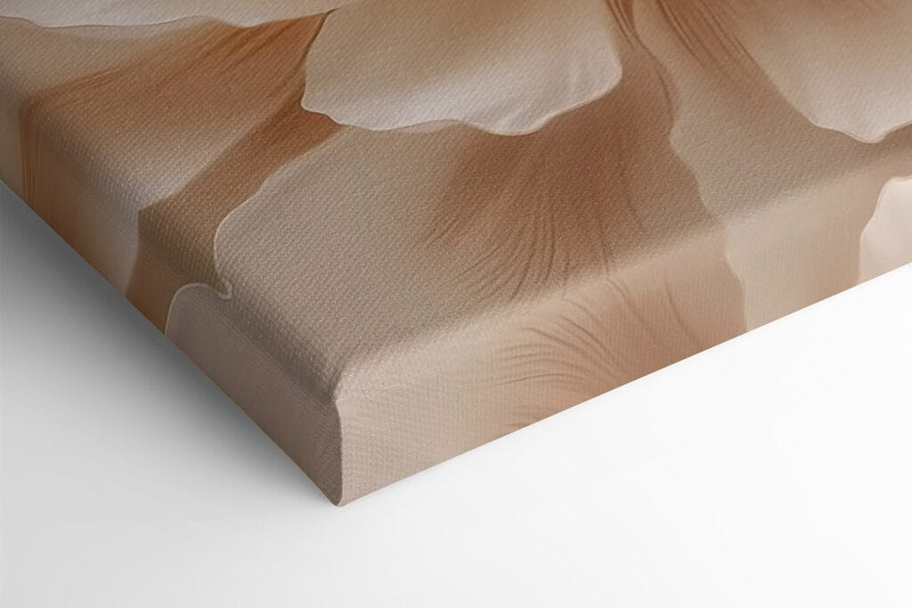 Delicate petals in soft hues