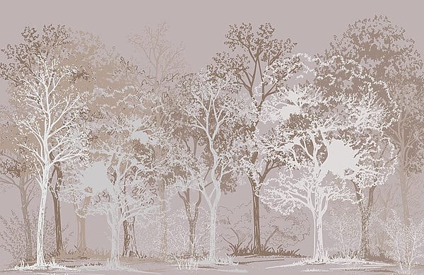 Groep bomen in een bos Groep bomen in een bos