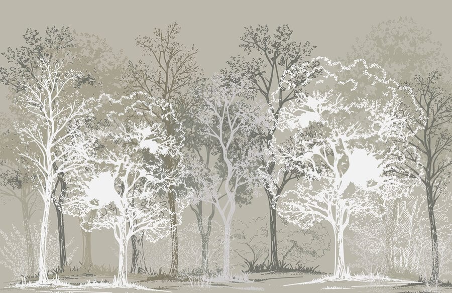 Groep bomen in een bos