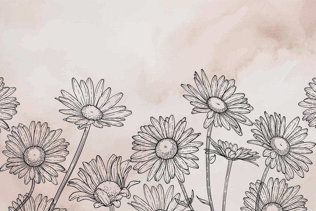 Groep bloemen op witte achtergrond Groep bloemen op witte achtergrond