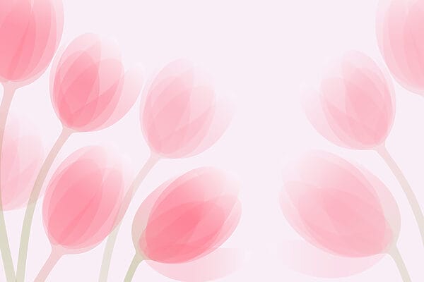 Groep roze bloemen Groep roze bloemen