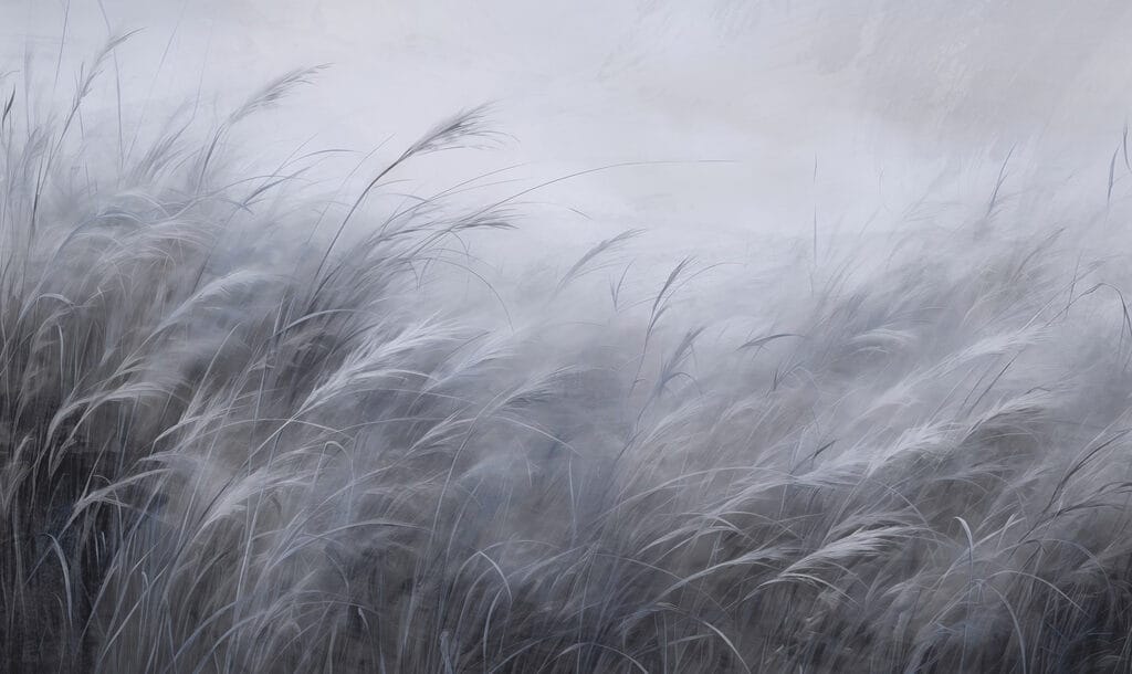 Zacht gefluister van blauw-grijs gras Zacht gefluister van blauw-grijs gras