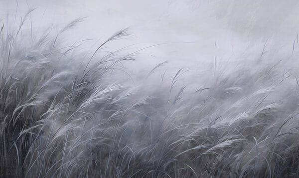 Zacht gefluister van blauw-grijs gras Zacht gefluister van blauw-grijs gras
