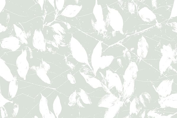 Witte bladeren op een lichtgroene achtergrond Witte bladeren op een lichtgroene achtergrond