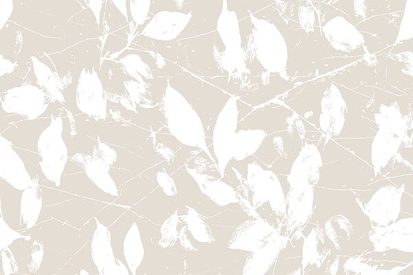 Witte bladeren op een witte achtergrond Witte bladeren op een witte achtergrond